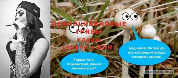 ALPHA PVP Болотное